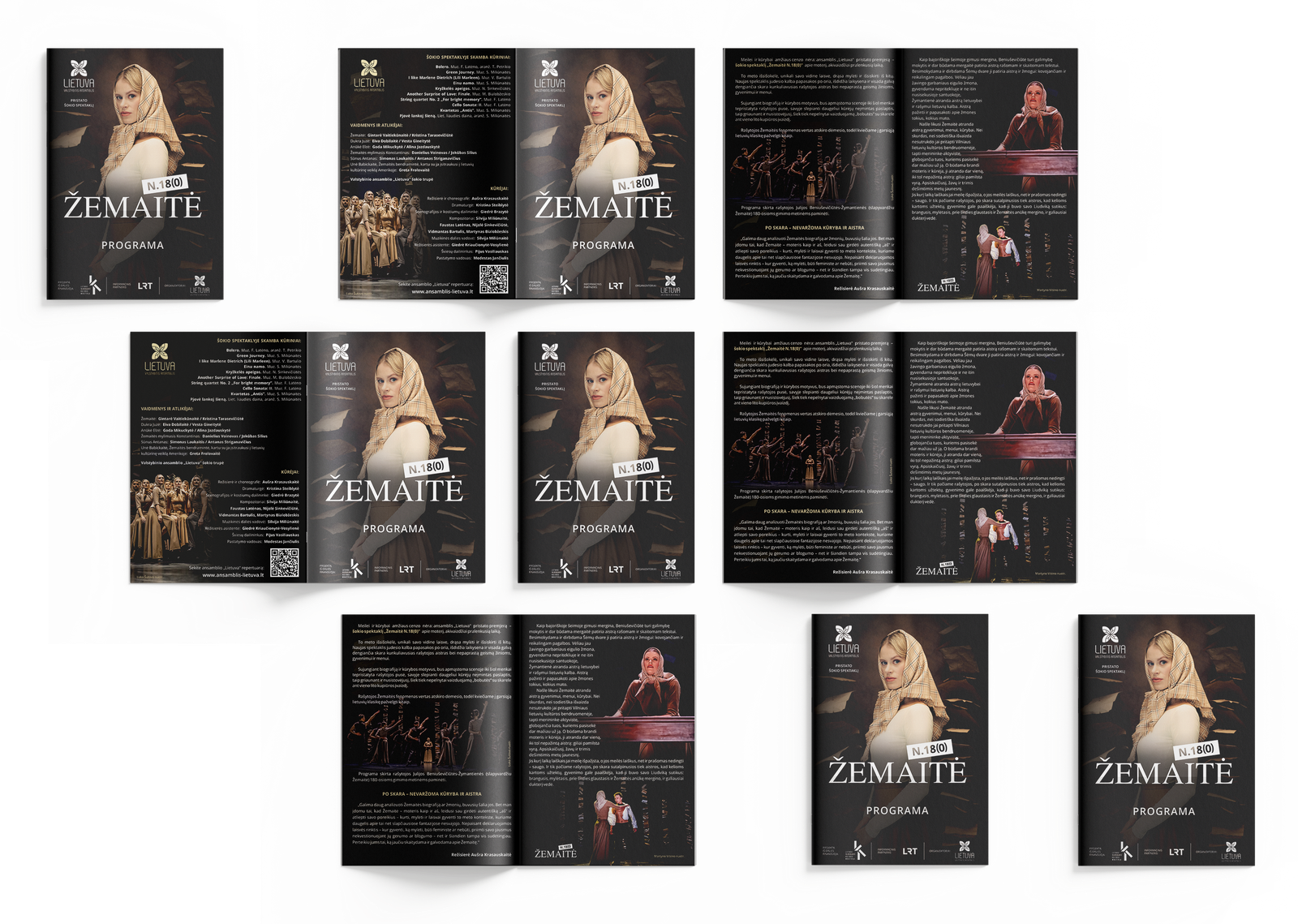 ZEMAITE PROGAMELE MOCKUP